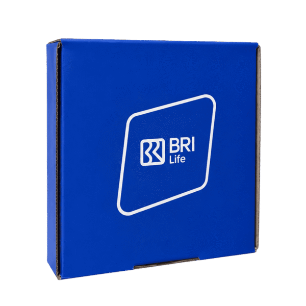 Box Kardus BRI