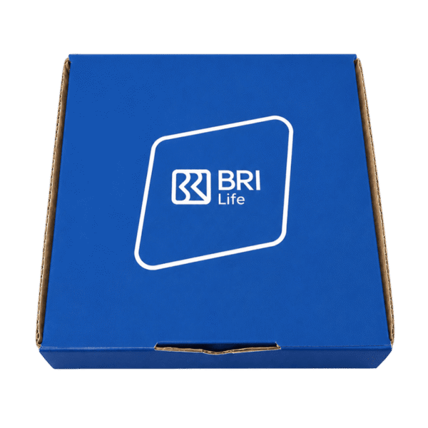 Box Kardus BRI